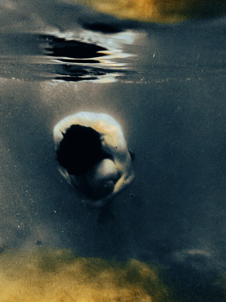 Utter the words I (2021). Digital Photograph.